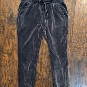LOFT Velour Lounge Pants